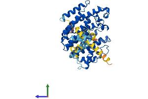 AlphaFold protein structure predicition of Human Recombinant FDFT1 Protein, UniprotID P37268
