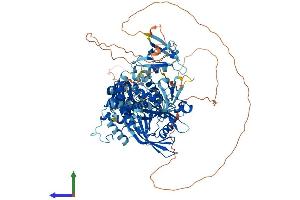 Protein Structure (PS) image for Protein tyrosine Phosphatase, Non-Receptor Type 3 (PTPN3) (AA 1-913) protein (His tag) (ABIN7561933)