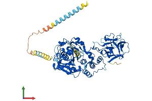 Protein Structure (PS) image for Udp-N-Acetyl-alpha-D-Galactosamine:polypeptide N-Acetylgalactosaminyltransferase 9 (GalNAc-T9) (GALNT9) (AA 1-603) protein (His tag) (ABIN7553983)