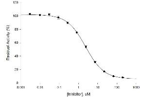 ELISA image for SensoLyte® 490 HCV Protease Assay Kit (ABIN1882472) (SensoLyte® 490 HCV Protease Assay Kit)