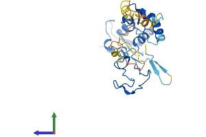 Protein Structure (PS) image for Chromosome 11 Open Reading Frame 46 (C11orf46) (AA 1-260) protein (His tag) (ABIN7552017)