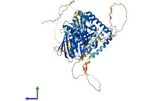 Protein Structure (PS) image for Oxysterol Binding Protein-Like 11 (OSBPL11) (AA 1-747) protein (His tag) (ABIN7554837)