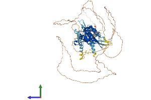AlphaFold protein structure predicition of Human Recombinant SIM1 Protein, UniprotID P81133