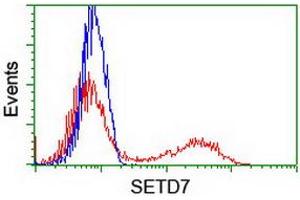 Image no. 2 for anti-SET Domain Containing (Lysine Methyltransferase) 7 (SETD7) antibody (ABIN1500904) (SETD7 抗体)