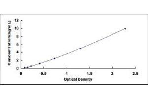 Typical standard curve (Neuregulin 2 ELISA 试剂盒)