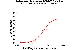 ELISA image for Solute Carrier Family 25 (Mitochondrial Carrier, Adenine Nucleotide Translocator), Member 4 (SLC25A4) protein (ABIN7491729)