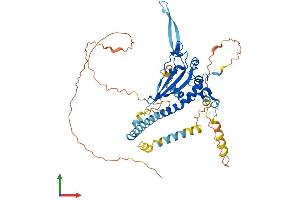 Protein Structure (PS) image for Nucleosome Assembly Protein 1-Like 2 (NAP1L2) (AA 1-460) protein (His tag) (ABIN7563401)