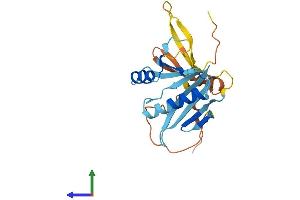 Protein Structure (PS) image for Ornithine Decarboxylase Antizyme 3 (OAZ3) (AA 1-235) protein (His tag) (ABIN7549988)