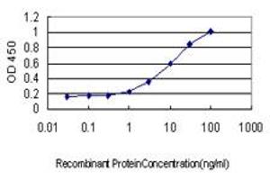 ELISA image for anti-Glutaminyl-tRNA Synthetase (QARS) (AA 677-776) antibody (ABIN598566) (QARS 抗体  (AA 677-776))