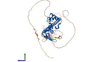 Protein Structure (PS) image for Transcription Factor Dp-1 (TFDP1) (AA 1-410) protein (His tag) (ABIN7556923)
