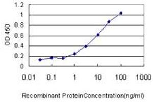 Detection limit for recombinant GST tagged RPN1 is approximately 1ng/ml as a capture antibody. (RPN1 抗体  (AA 24-607))