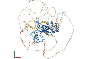 AlphaFold protein structure predicition of Human Recombinant LPIN2 Protein, UniprotID Q92539 (Lipin 2 Protein (LPIN2) (AA 1-896) (His tag))
