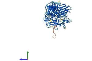 Protein Structure (PS) image for Transmembrane Protease, serine 6 (TMPRSS6) (AA 1-811) protein (His tag) (ABIN7555799)