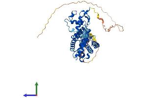 AlphaFold protein structure predicition of Mouse Recombinant Nr1h2 Protein, UniprotID Q60644