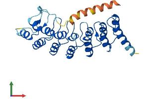 Protein Structure (PS) image for Ankyrin Repeat Domain 19, Pseudogene (ANKRD19P) (AA 1-264) protein (His tag) (ABIN7552284)