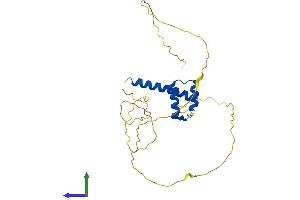 AlphaFold protein structure predicition of Mouse Recombinant Hoxd12 Protein, UniprotID P23812
