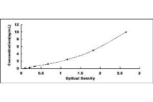 Typical standard curve (RUNX2 ELISA 试剂盒)