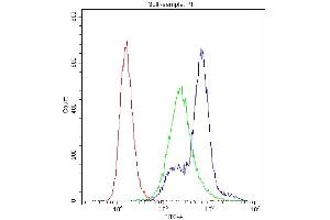Flow Cytometry analysis of K562 cells using anti-PKC-eta antibody (ABIN3043361).