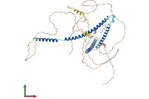 Protein Structure (PS) image for Nucleoporin Like 1 (NUPL1) (AA 1-587) protein (His tag) (ABIN7559723)