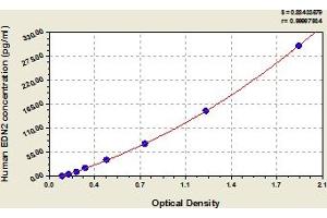 Endothelin 2 ELISA 试剂盒