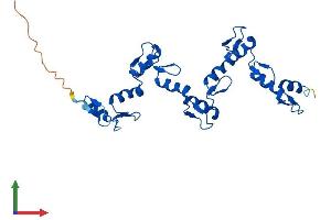 Protein Structure (PS) image for Zinc Finger Protein 501 (ZNF501) (AA 1-271) protein (His tag) (ABIN7545808)