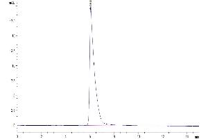 The purity of Human Glypican 1 is greater than 95 % as determined by SEC-HPLC.