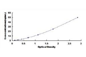 Typical standard curve (GCK ELISA 试剂盒)