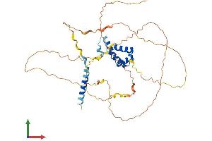 Protein Structure (PS) image for TGFB-Induced Factor Homeobox 1 (TGIF1) (AA 1-401) protein (His tag) (ABIN7544311)