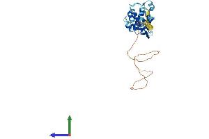 Protein Structure (PS) image for PRP38 Pre-mRNA Processing Factor 38 (Yeast) Domain Containing A (PRPF38A) (AA 1-312) protein (His tag) (ABIN7551030)