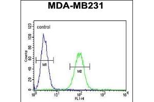 CTSF Antibody (Center ) (ABIN390488 and ABIN2840848) flow cytometric analysis of MDA-M cells (right histogram) compared to a negative control cell (left histogram). (Cathepsin F 抗体  (AA 261-290))
