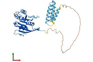 Protein Structure (PS) image for alpha- and gamma-Adaptin Binding Protein (AAGAB) (AA 1-315) protein (His tag) (ABIN7551752)