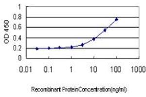 Detection limit for recombinant GST tagged LOXL2 is approximately 0. (LOXL2 抗体  (AA 675-773))
