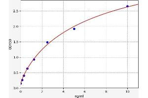 Phospholipase C gamma 1 ELISA 试剂盒