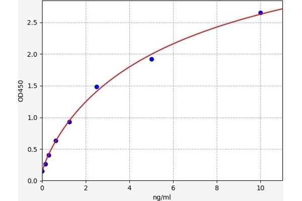 Phospholipase C gamma 1 ELISA 试剂盒