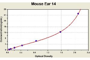 Diagramm of the ELISA kit to detect Mouse Ear 14with the optical density on the x-axis and the concentration on the y-axis. (EAR14 ELISA 试剂盒)