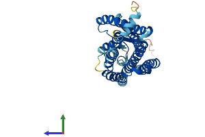 Protein Structure (PS) image for Olfactory Receptor, Family 2, Subfamily J, Member 2 (OR2J2) (AA 1-312) protein (His tag) (ABIN7550074)