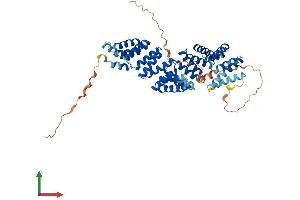 Protein Structure (PS) image for Bardet-Biedl Syndrome 4 (BBS4) (AA 1-520) protein (His tag) (ABIN7564501)