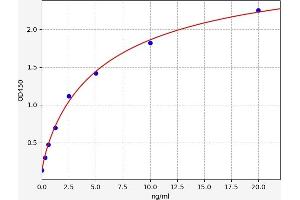 Typical standard curve (Transgelin 3 ELISA 试剂盒)