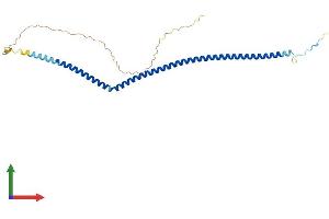 Protein Structure (PS) image for Arginine and Glutamate Rich 1 (ARGLU1) (AA 1-273) protein (His tag) (ABIN7552203)