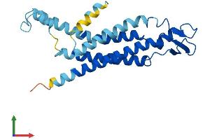 Protein Structure (PS) image for Gap Junction Protein, beta 2, 26kDa (GJB2) (AA 1-226) protein (His tag) (ABIN7556852)