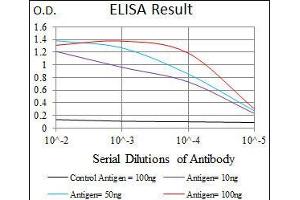 ELISA image for anti-Kelch-Like ECH-Associated Protein 1 (KEAP1) (AA 380-624) antibody (ABIN1098137)