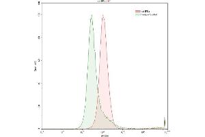 Detection of IFNa in Raji human Burkitt's lymphoma cell line using Polyclonal Antibody to Interferon Alpha (IFNa) (IFNA 抗体)