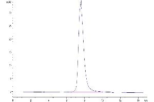 Size-exclusion chromatography-High Pressure Liquid Chromatography (SEC-HPLC) image for Fc Fragment of IgG, Low Affinity IIIb, Receptor (CD16b) (FCGR3B) (AA 17-200) protein (His-Avi Tag,Biotin) (ABIN7274601)