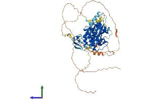 Protein Structure (PS) image for V-Raf-1 Murine Leukemia Viral Oncogene Homolog 1 (RAF1) (AA 1-648) protein (His tag) (ABIN7555117)