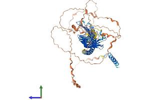 Protein Structure (PS) image for Junctophilin 4 (JPH4) (AA 1-628) protein (His tag) (ABIN7554292)