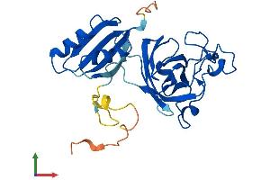 Protein Structure (PS) image for Copper Chaperone For Superoxide Dismutase (CCS) (AA 1-274) protein (His tag) (ABIN7556268)