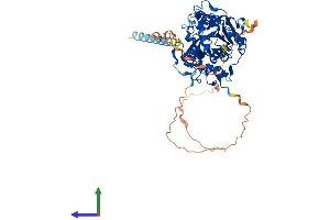 Protein Structure (PS) image for Mannosyl (Beta-1,4-)-Glycoprotein beta-1,4-N-Acetylglucosaminyltransferase (MGAT3) (AA 1-538) protein (His tag) (ABIN7556962)