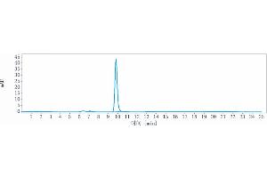 anti-LINGO1 (Opicinumab Biosimilar) antibody