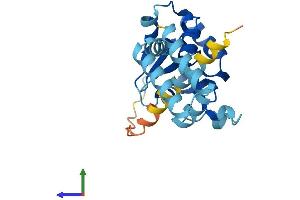 Protein Structure (PS) image for Lecithin Retinol Acyltransferase (Phosphatidylcholine--Retinol O-Acyltransferase) (LRAT) (AA 1-230) protein (His tag) (ABIN7549105)