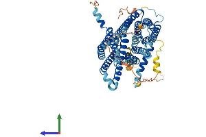 Protein Structure (PS) image for Solute Carrier Family 40 (Iron-Regulated Transporter), Member 1 (SLC40A1) (AA 1-570) protein (His tag) (ABIN7561507)